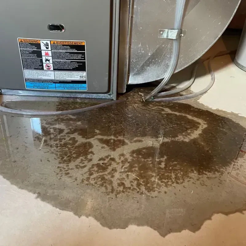 Appliance Leak Cleanup in Hearne, TX